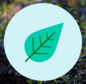 green leaf ecosia